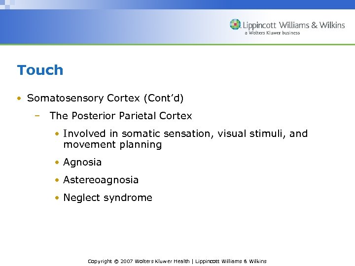 Touch • Somatosensory Cortex (Cont’d) – The Posterior Parietal Cortex • Involved in somatic