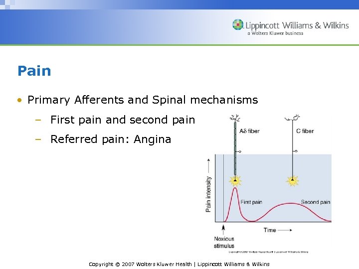 Pain • Primary Afferents and Spinal mechanisms – First pain and second pain –