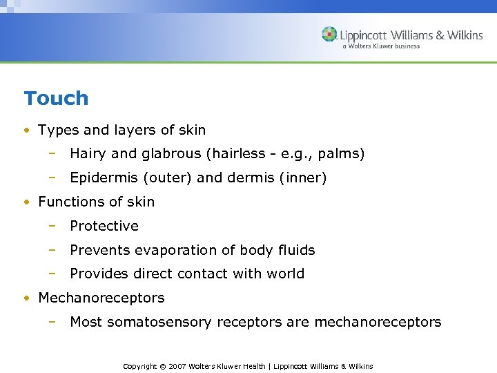 Touch • Types and layers of skin – Hairy and glabrous (hairless - e.