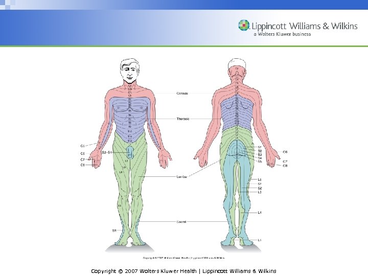 Copyright © 2007 Wolters Kluwer Health | Lippincott Williams & Wilkins 