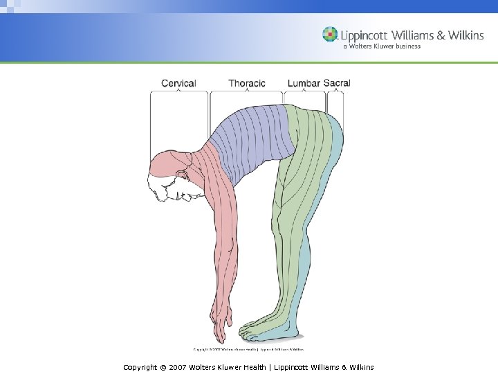 Copyright © 2007 Wolters Kluwer Health | Lippincott Williams & Wilkins 