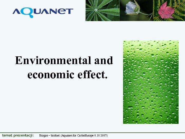 Environmental and economic effect. Biogas – biofuel (Aquanet for Carbo. Europe 8. 10. 2007)