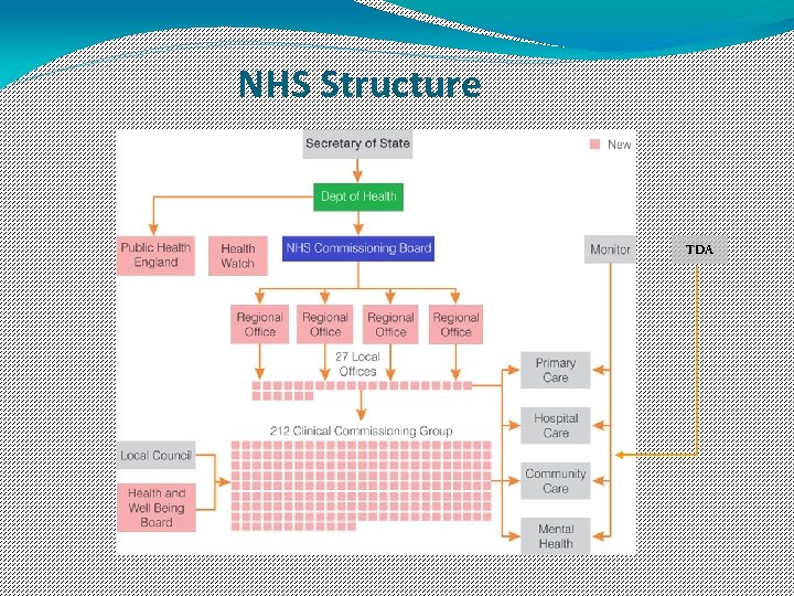 NHS Structure TDA 
