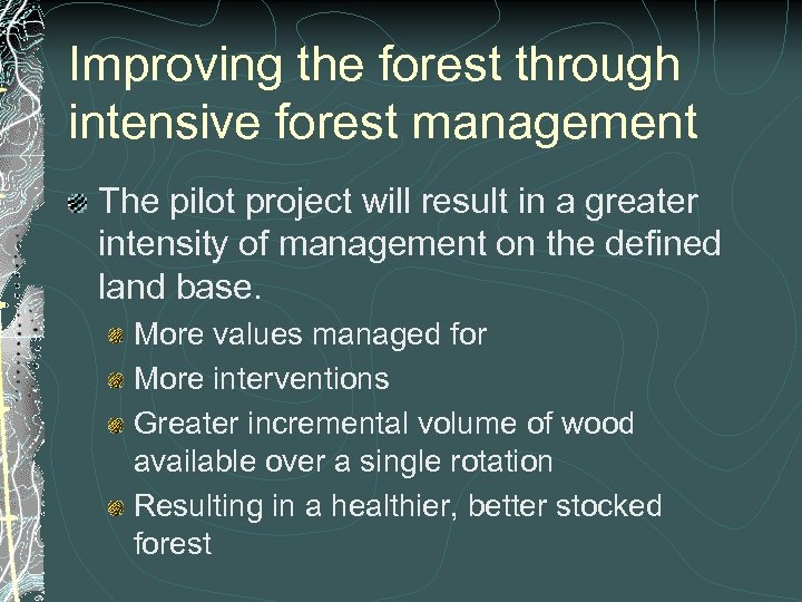 Improving the forest through intensive forest management The pilot project will result in a