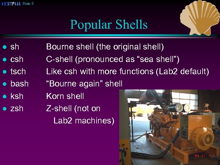 Slide 8 Popular Shells l l l sh csh tsch bash ksh zsh Bourne