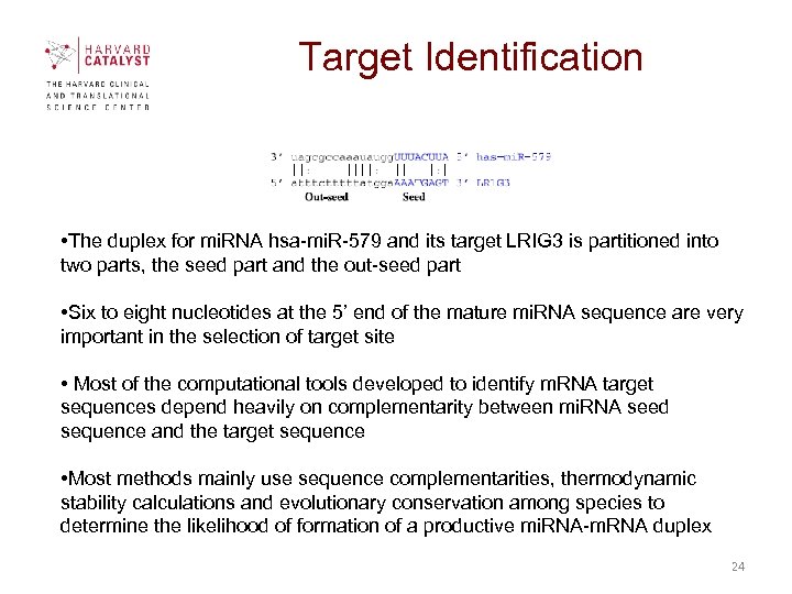 Target Identification • The duplex for mi. RNA hsa-mi. R-579 and its target LRIG