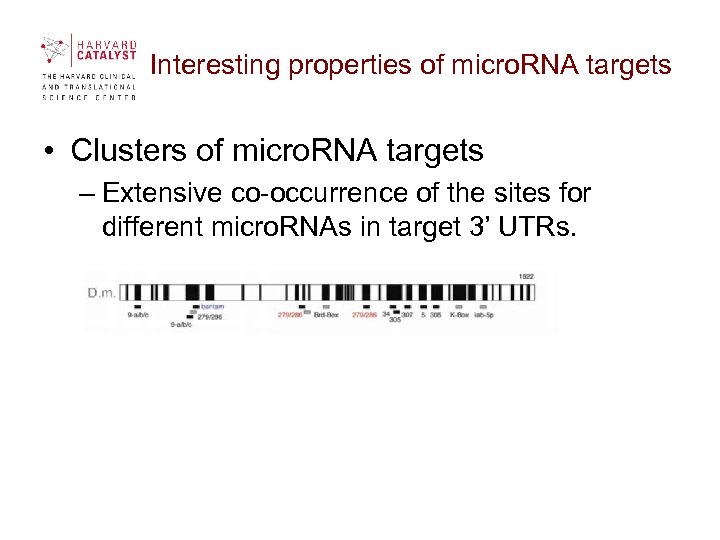 Interesting properties of micro. RNA targets • Clusters of micro. RNA targets – Extensive