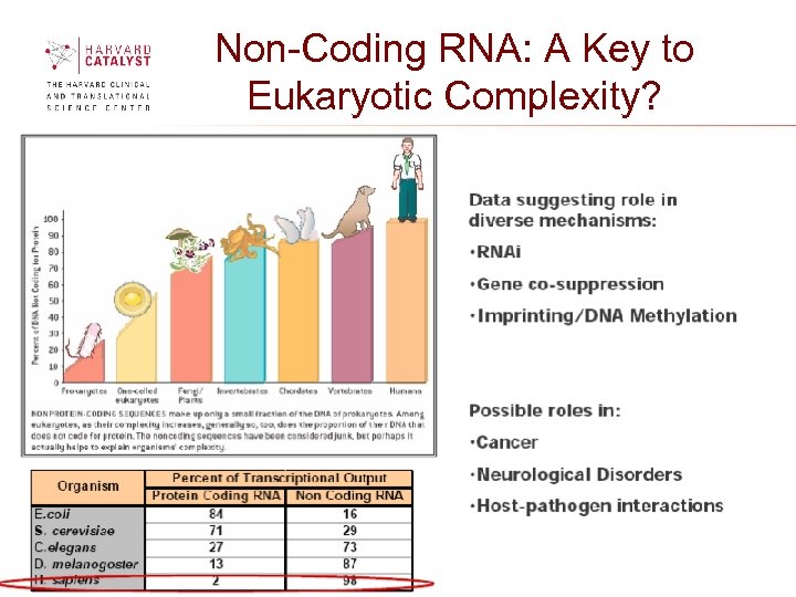 Non-Coding RNA: A Key to Eukaryotic Complexity? 