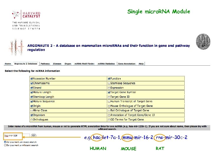 Single micro. RNA Module e. g. hsa-let-7 a-1, mmu-mir-16 -2, rno-mir-30 c-2 HUMAN MOUSE