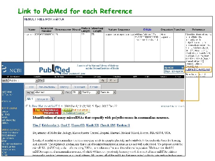 Link to Pub. Med for each Reference 