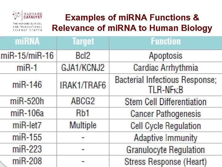 Examples of mi. RNA Functions & Relevance of mi. RNA to Human Biology 60