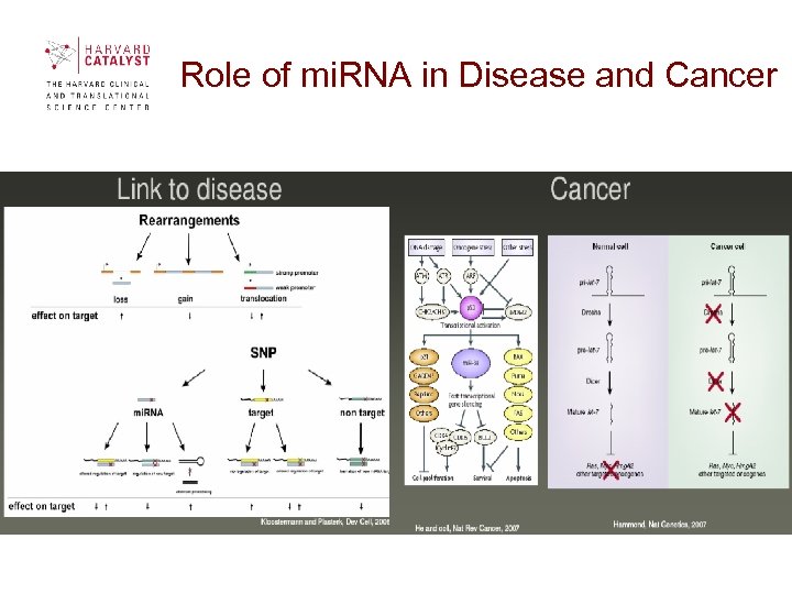  Role of mi. RNA in Disease and Cancer 