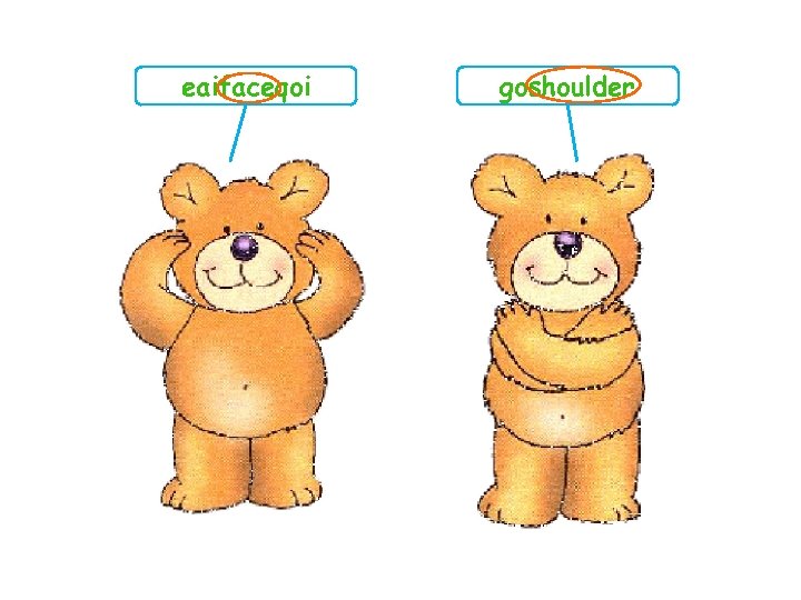 eaifaceqoi goshoulder 