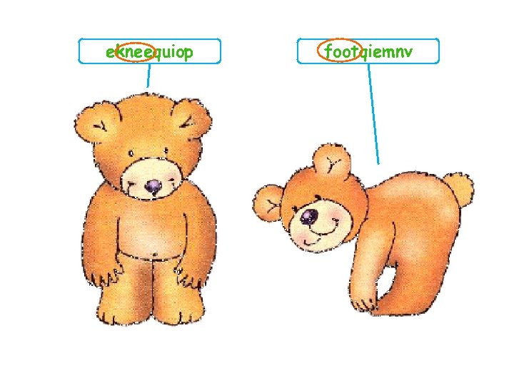 ekneequiop footqiemnv 