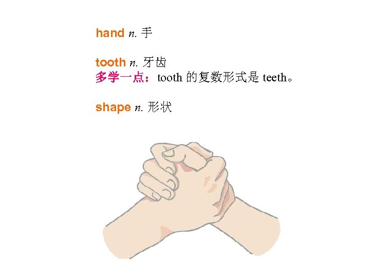 hand n. 手 tooth n. 牙齿 多学一点：tooth 的复数形式是 teeth。 shape n. 形状 