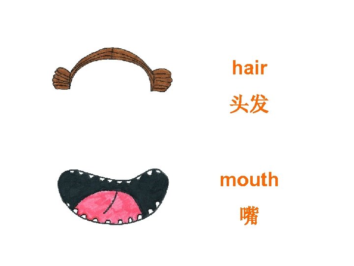 hair 头发 mouth 嘴 