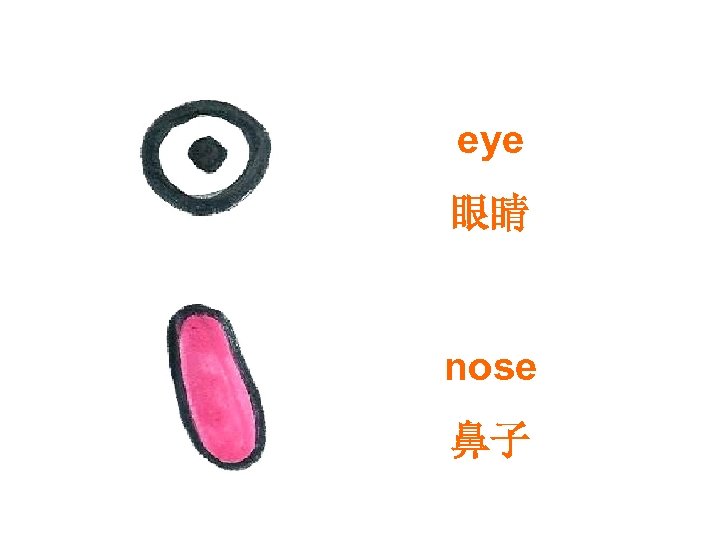 eye 眼睛 nose 鼻子 