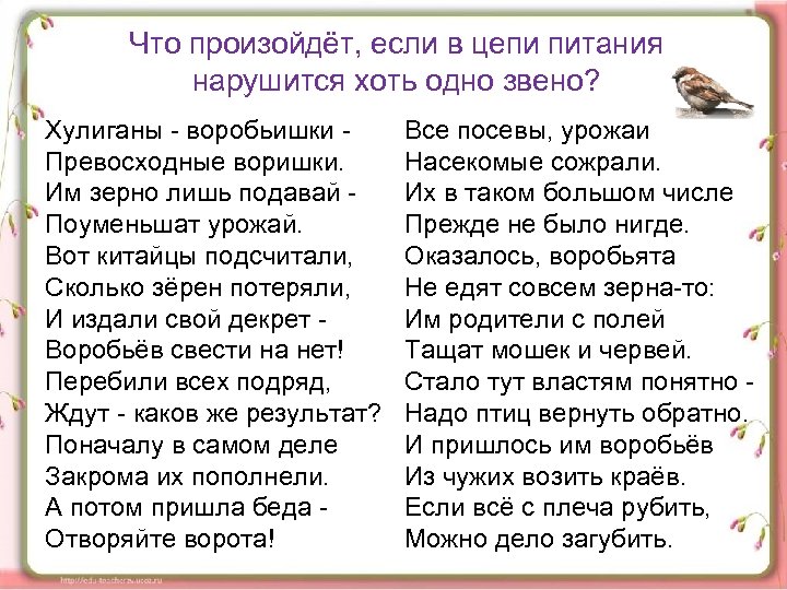 Что произойдёт, если в цепи питания нарушится хоть одно звено? Хулиганы воробьишки Превосходные воришки.