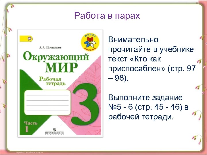 Работа в парах Внимательно прочитайте в учебнике текст «Кто как приспосаблен» (стр. 97 –