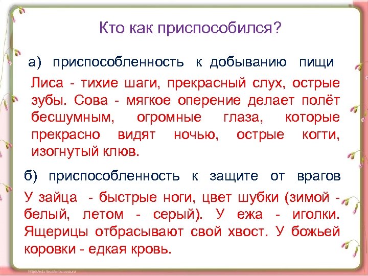Кто как приспособился? а) приспособленность к добыванию пищи Лиса тихие шаги, прекрасный слух, острые