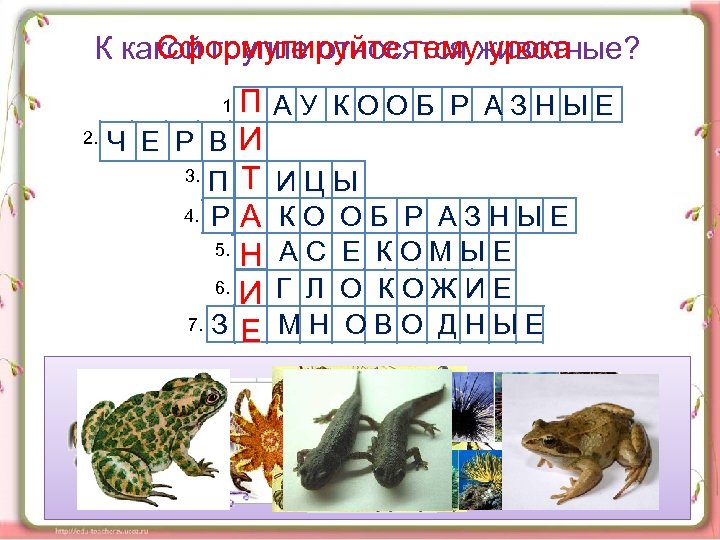 Сформулируйте тему урока К какой группе относятся животные? П АУ КООБ Р АЗНЫЕ П