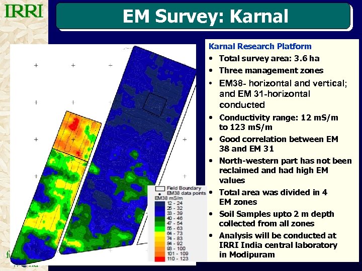 EM Survey: Karnal Research Platform • Total survey area: 3. 6 ha • Three
