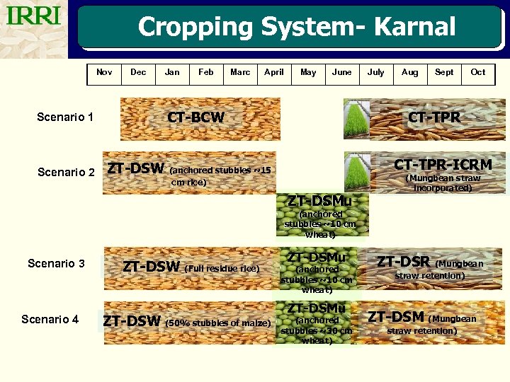 Cropping System- Karnal Nov Scenario 1 Scenario 2 Dec Jan Feb Marc April May