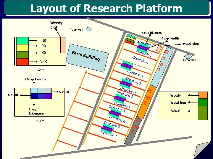 Layout of Research Platform Weedy plot Tube well Crop biomass N 0 P 0