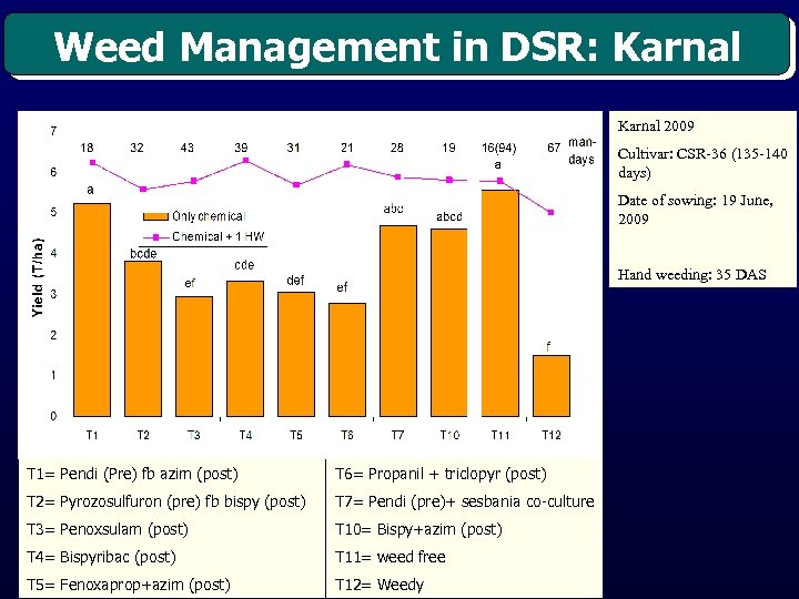 Weed Management in DSR: Karnal 2009 Cultivar: CSR-36 (135 -140 days) Date of sowing: