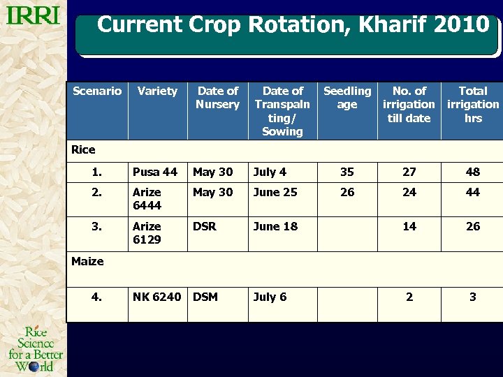 Current Crop Rotation, Kharif 2010 Scenario Variety Date of Nursery Date of Transpaln ting/