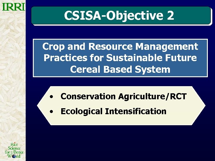 CSISA-Objective 2 Crop and Resource Management Practices for Sustainable Future Cereal Based System •