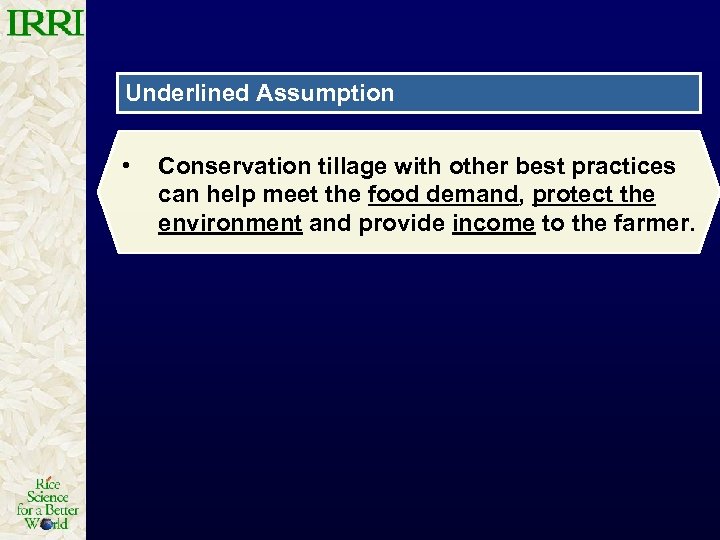 Underlined Assumption • Conservation tillage with other best practices can help meet the food