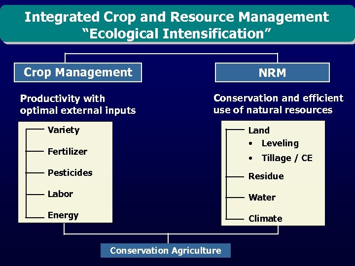 Integrated Crop and Resource Management “Ecological Intensification” Crop Management Productivity with optimal external inputs