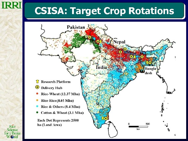 CSISA: Target Crop Rotations (8. 05 Mha) 