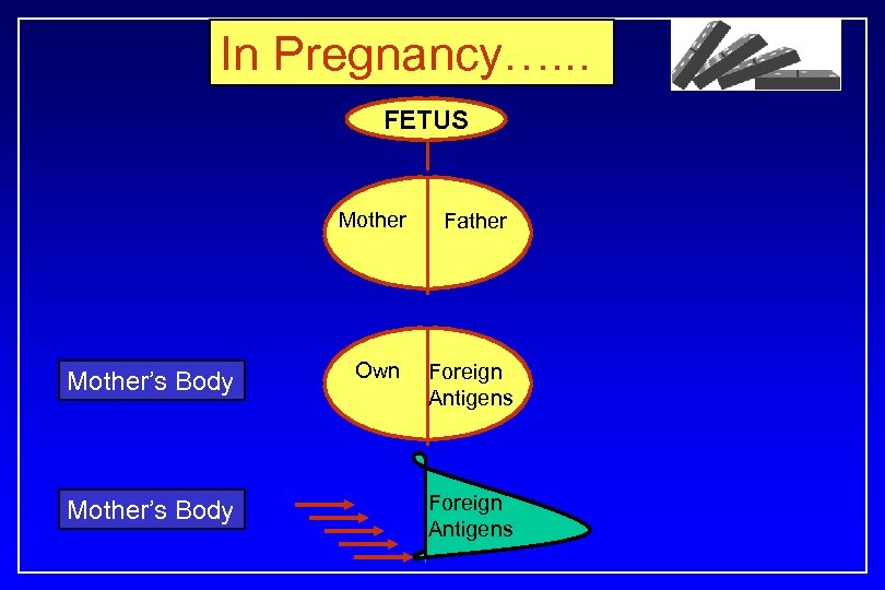 In Pregnancy…. . . FETUS Mother’s Body Father Own Foreign Antigens 