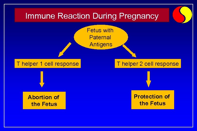 Immune Reaction During Pregnancy Fetus with Paternal Antigens T helper 1 cell response Abortion