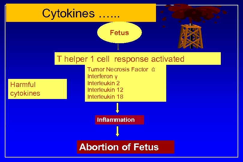 Cytokines …. . . Fetus T helper 1 cell response activated Harmful cytokines Tumor