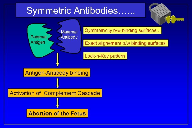 Symmetric Antibodies…. . . Paternal Antigen Maternal Antibody Symmetricity b/w binding surfaces. . Exact