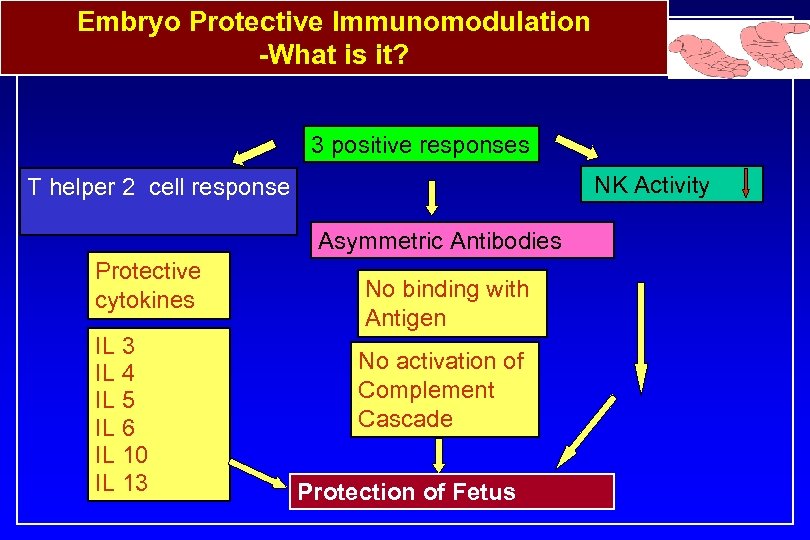 Embryo Protective Immunomodulation -What is it? 3 positive responses NK Activity T helper 2