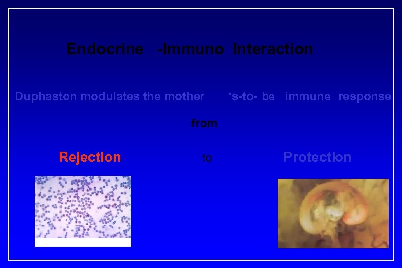 Endocrine -Immuno Interaction Duphaston modulates the mother ‘s-to- be immune response from Rejection to