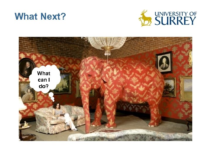 What Next? What can I do? 