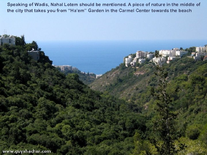 Speaking of Wadis, Nahal Lotem should be mentioned. A piece of nature in the