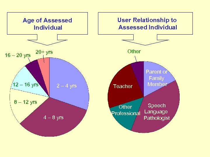 Age of Assessed Individual 16 – 20 yrs Other 20+ yrs 12 – 16