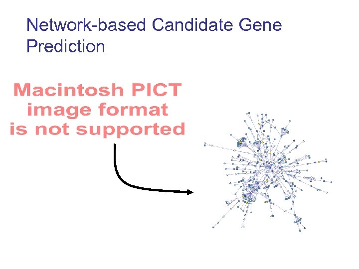 Network-based Candidate Gene Prediction 