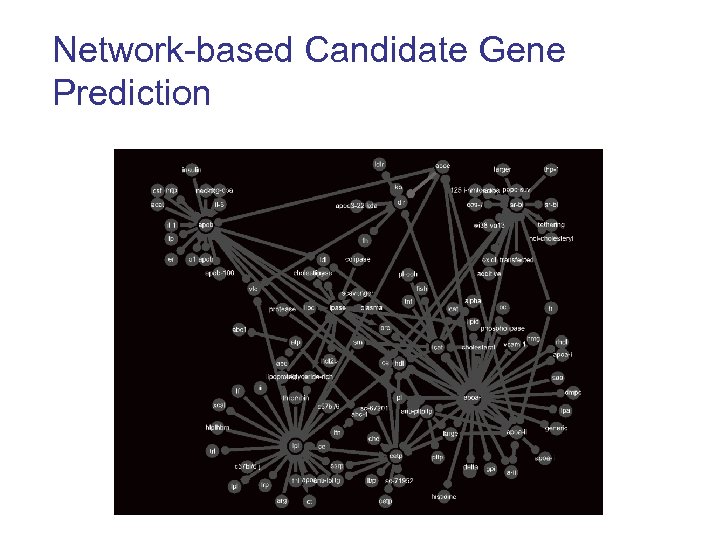 Network-based Candidate Gene Prediction 