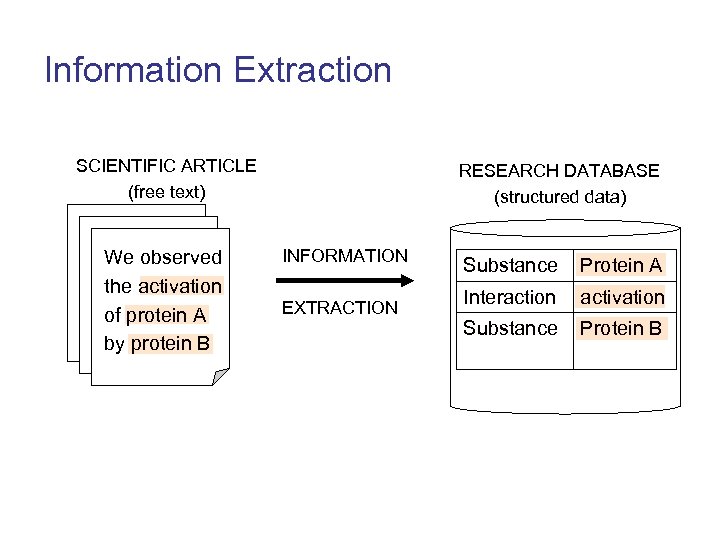 Information Extraction SCIENTIFIC ARTICLE (free text) We observed the activation of protein A by