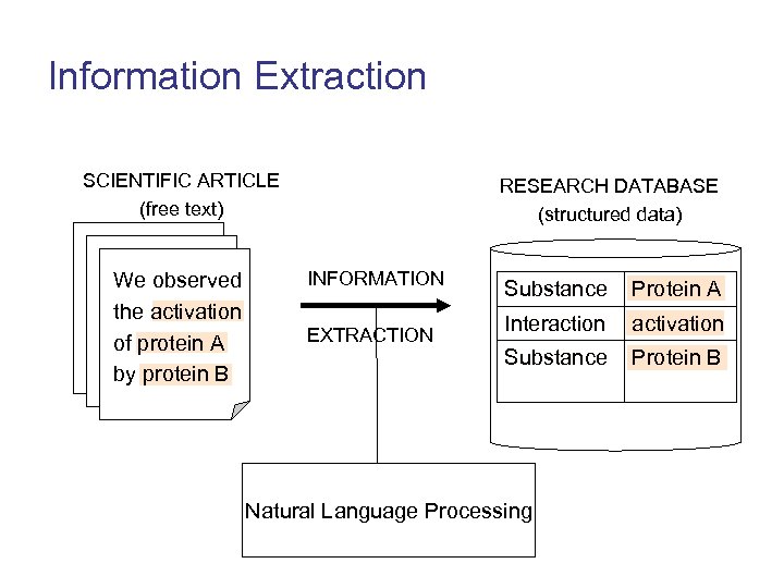 Information Extraction SCIENTIFIC ARTICLE (free text) We observed the activation of protein A by