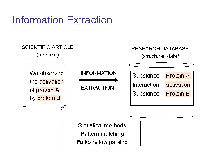 Information Extraction SCIENTIFIC ARTICLE (free text) We observed the activation of protein A by