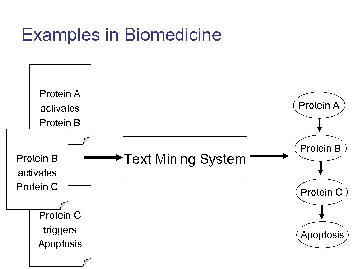 Examples in Biomedicine Protein A activates Protein B activates Protein C triggers Apoptosis Protein