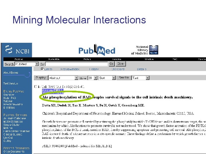 Mining Molecular Interactions 